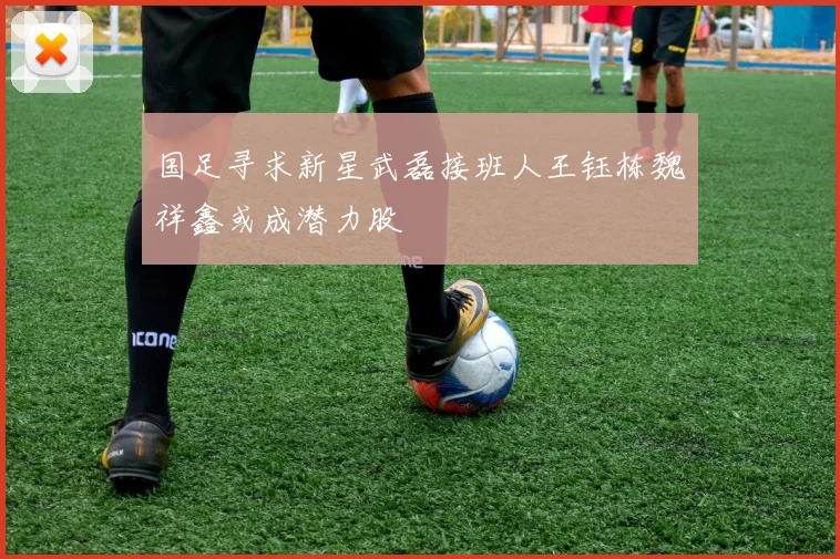 国足寻求新星武磊接班人王钰栋魏祥鑫或成潜力股